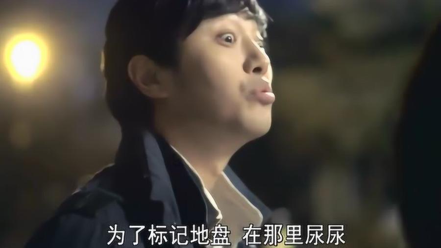 逃离神秘之林